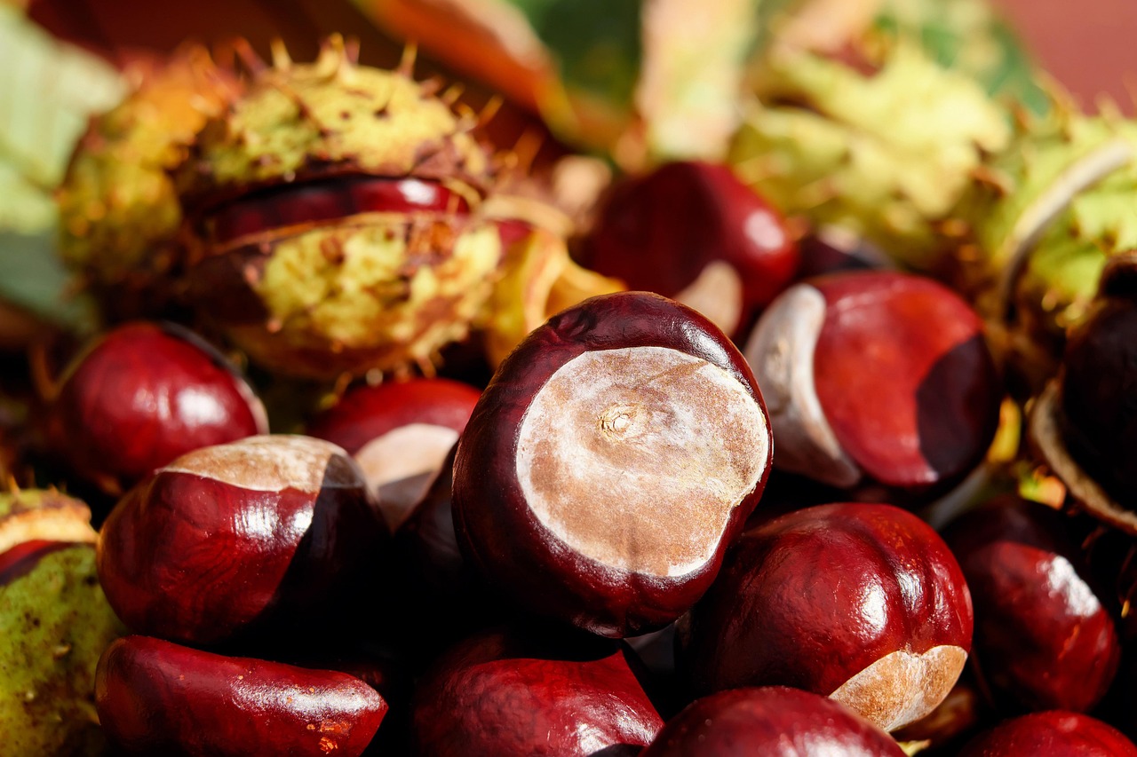 Chestnuts - The Carb-Heavy Exception (image credits: pixabay)