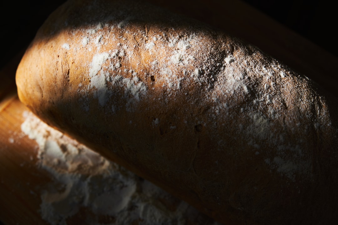 Understanding the Mold Timeline (image credits: unsplash)