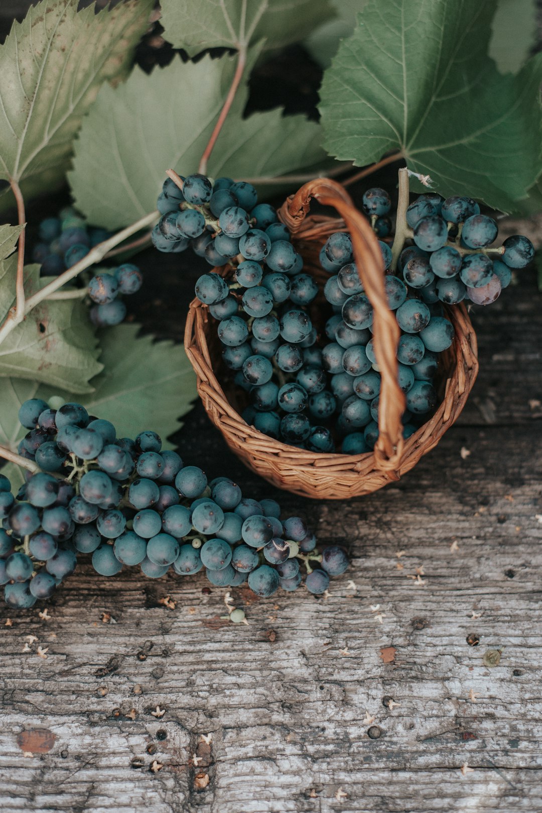 Dark Grapes (or Red Wine in Moderation): The Resveratrol Advantage (image credits: unsplash)