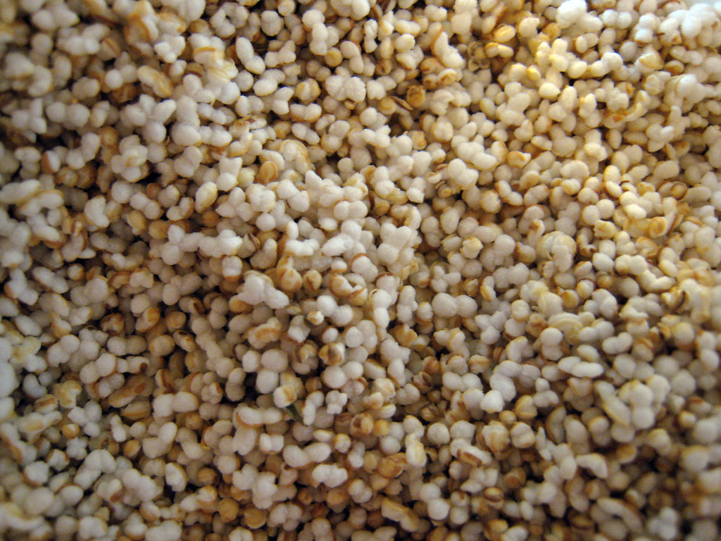 Amaranth: The Aztec Food of Immortality (Image Credits: Flickr)