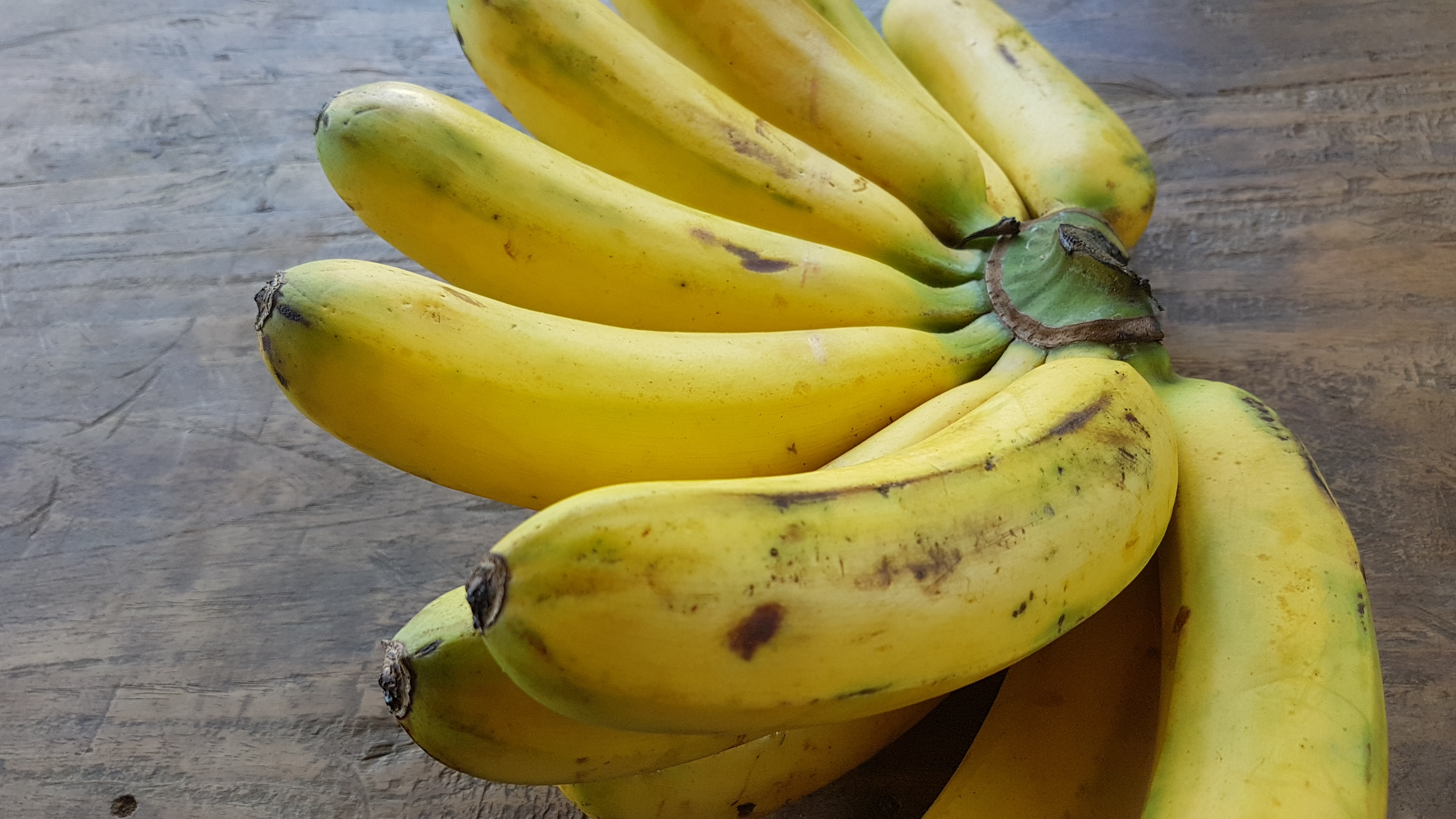 Bananas: Nature’s Portable Energy Bar (image credits: wikimedia)