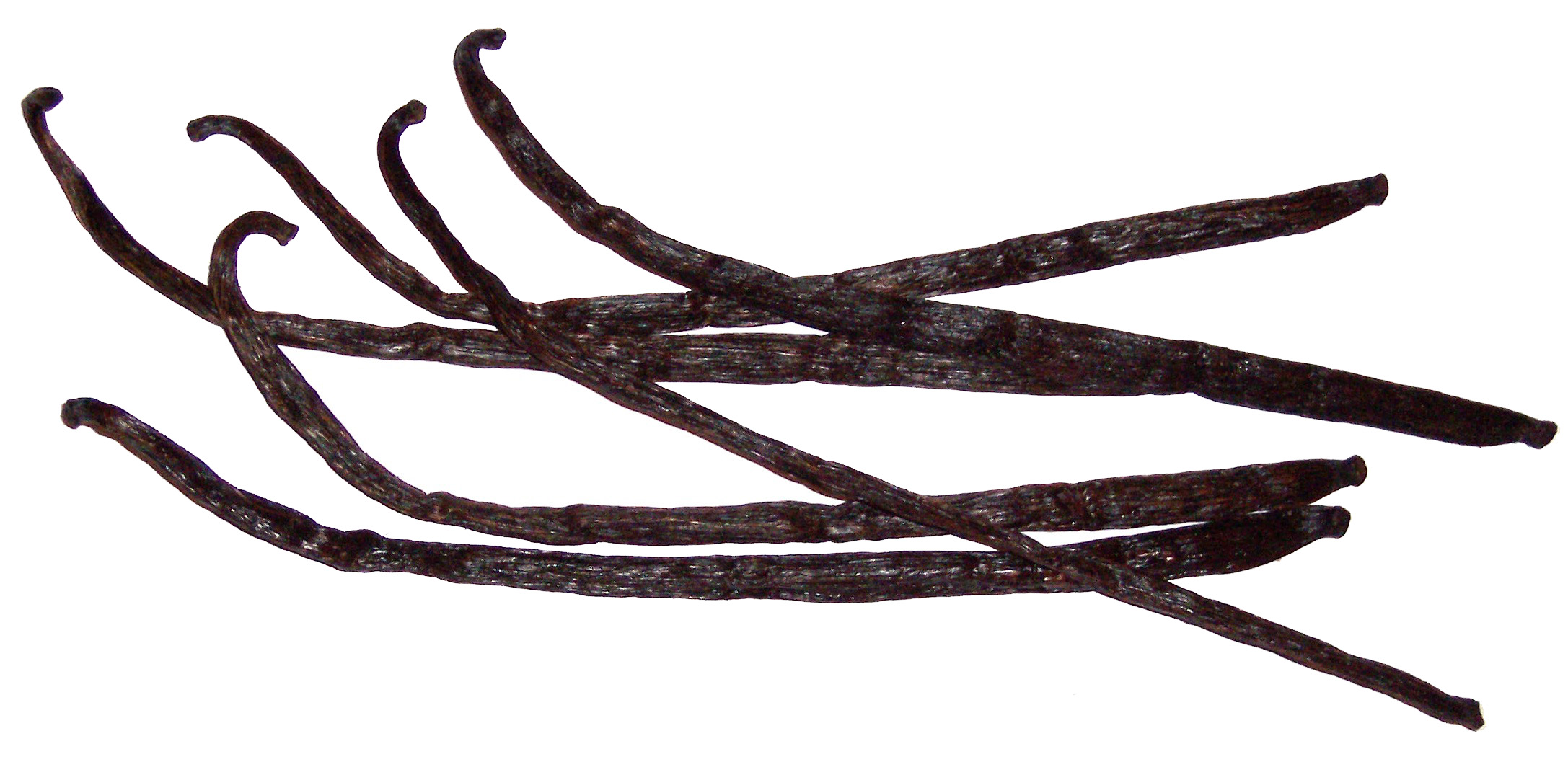 Vanilla (image credits: wikimedia)