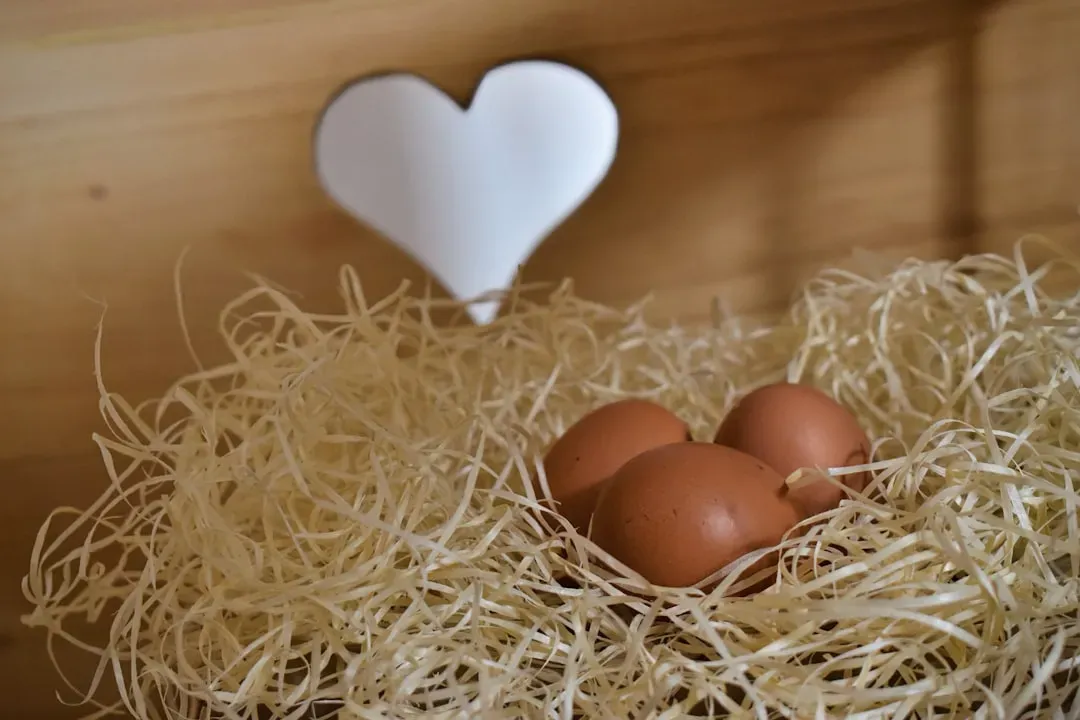 2. Eggs Are Bad for Your Heart (Image Credits: Unsplash)
