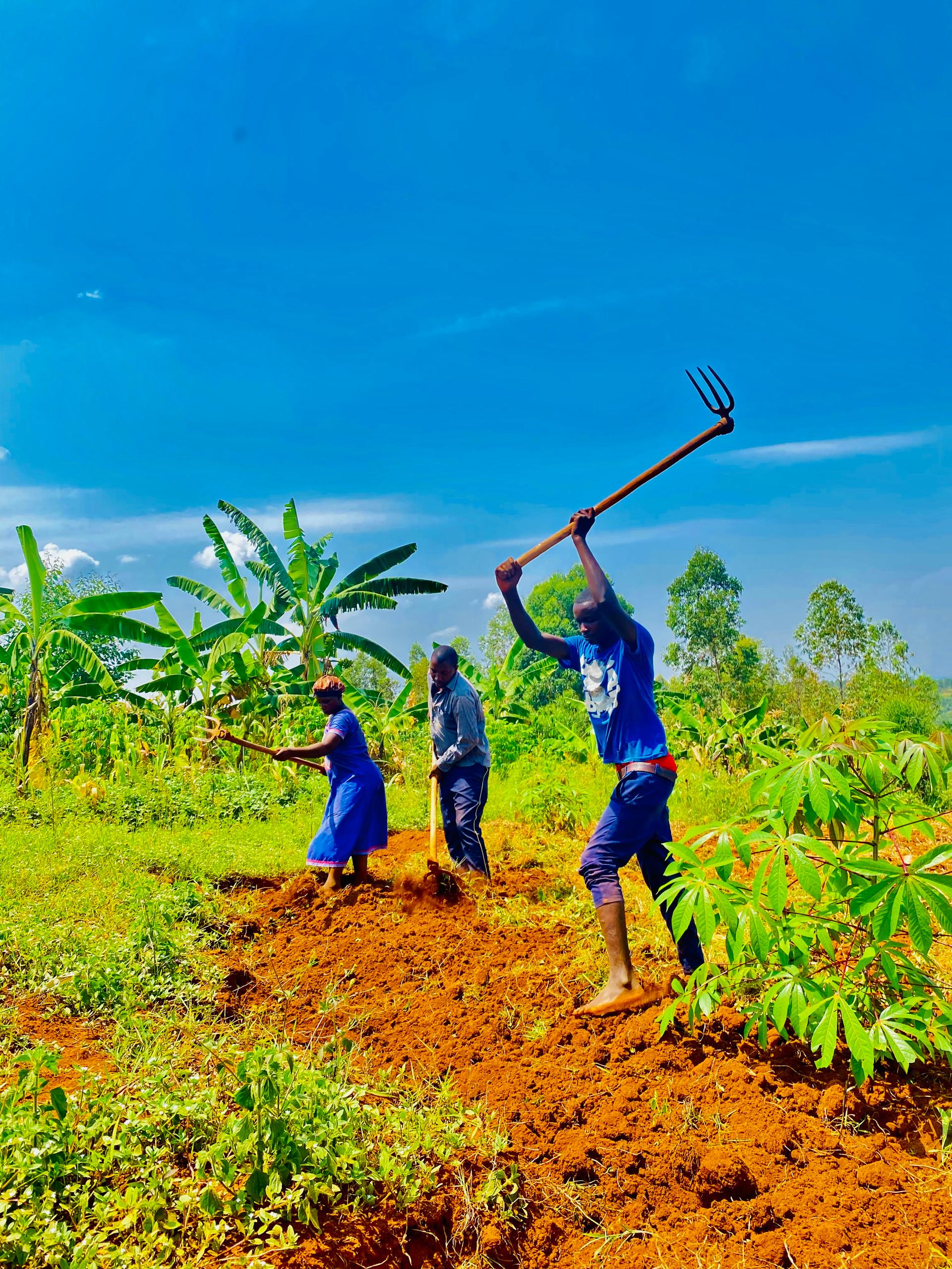 Central African Republic: The Nation With the World's Lowest Wheat Intake (Image Credits: Wikimedia)