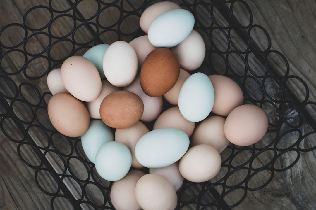 Neglecting the Importance of Fresh Eggs (image credits: unsplash)