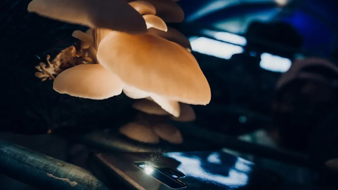 What This Means for Planetary Protection and the Future of Space Biology (Image Credits: Unsplash)