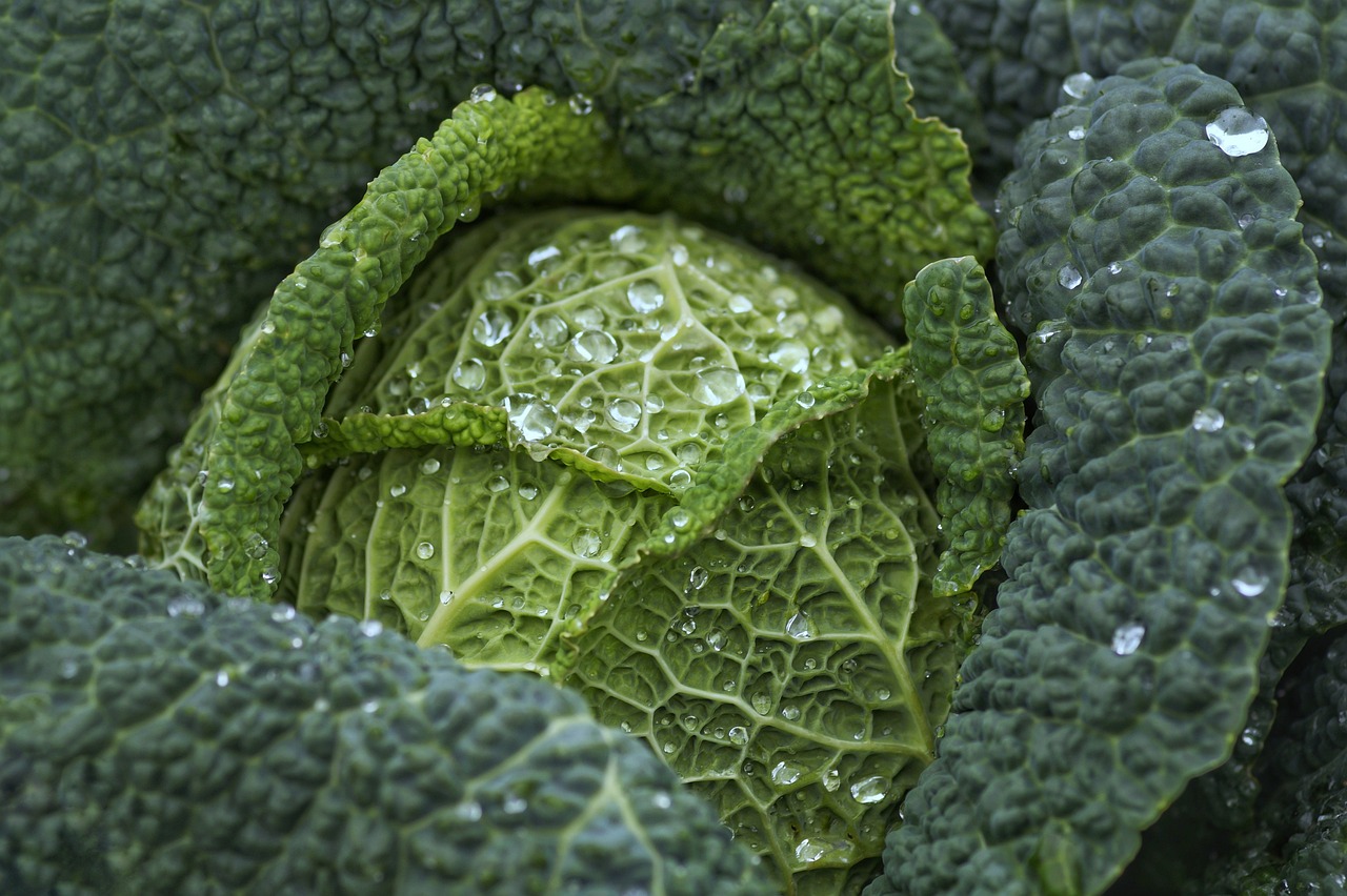 Leafy Greens: Nature’s Magnesium Powerhouse (image credits: pixabay)