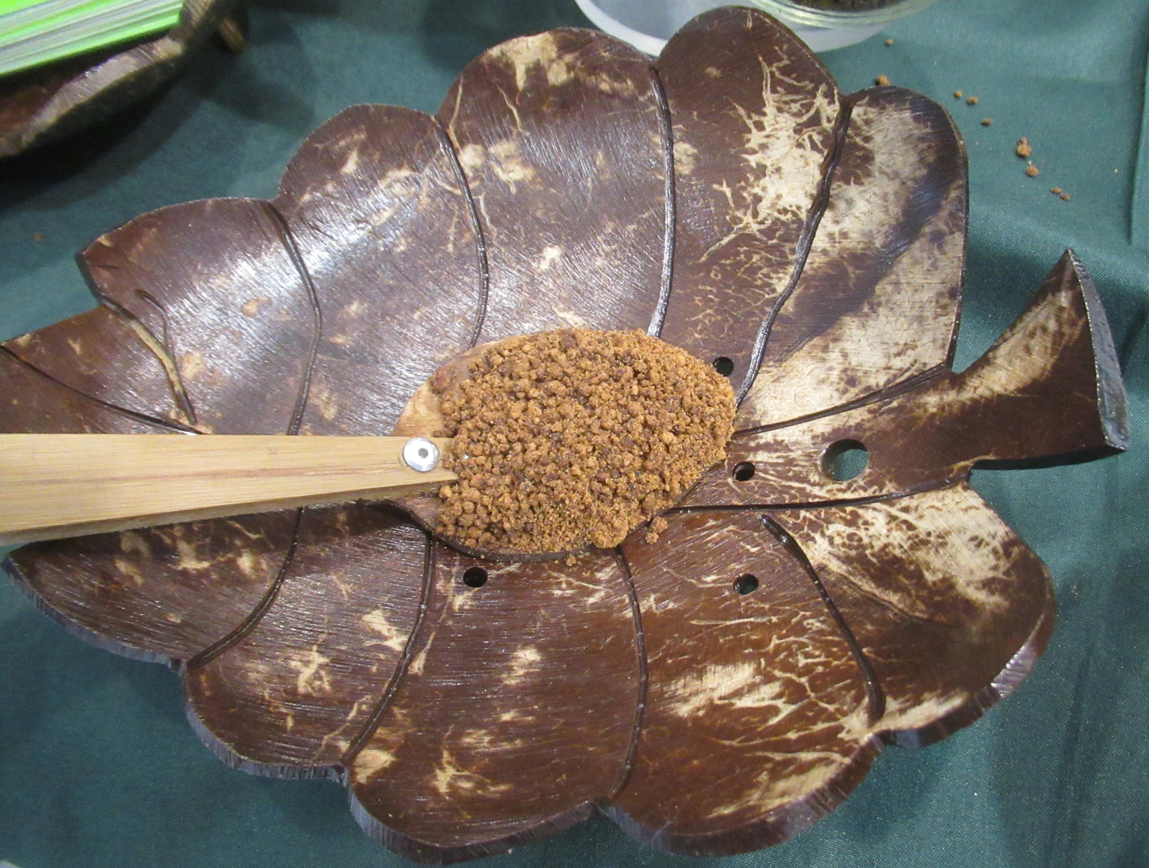The Environmental Impact of Coconut Sugar (image credits: wikimedia)