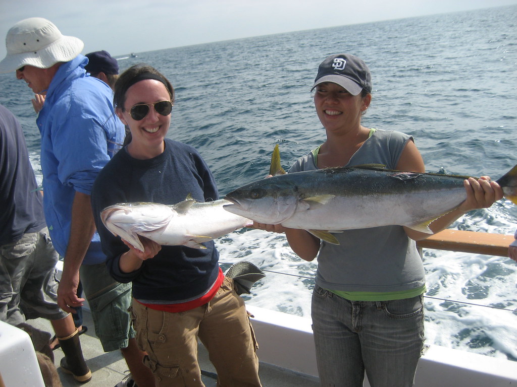 Small Island Nations: Where Fish Isn't Choice, It's Survival (image credits: flickr)