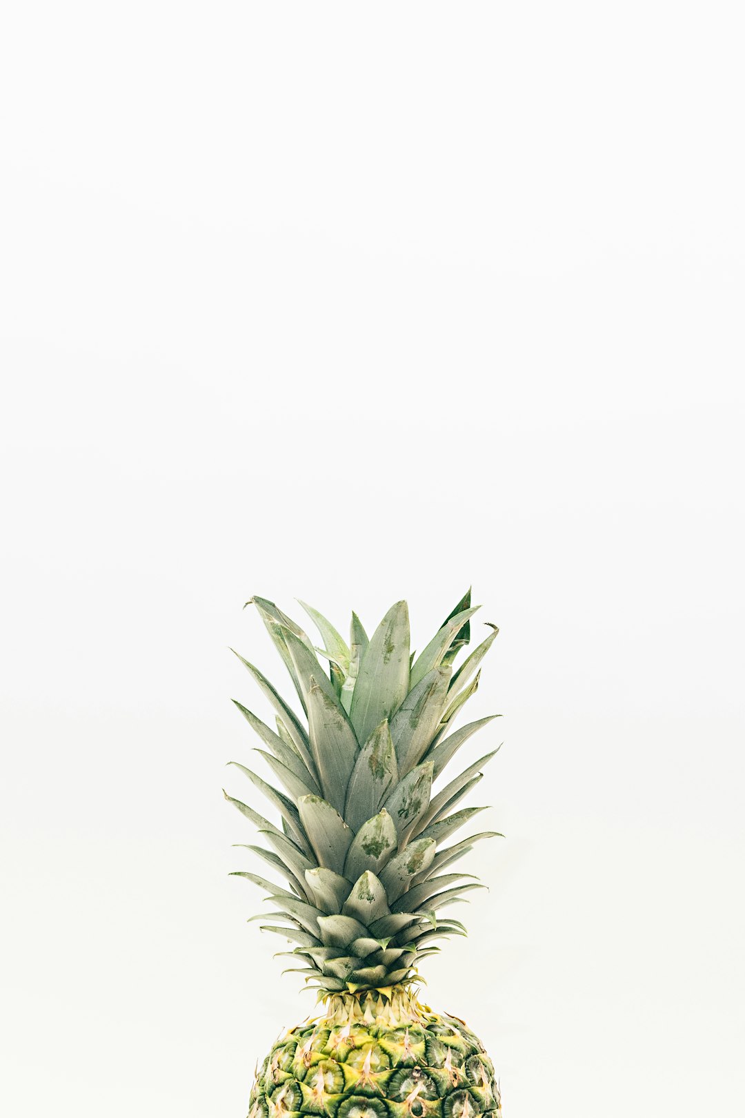 Cottage Cheese with Pineapple (image credits: unsplash)