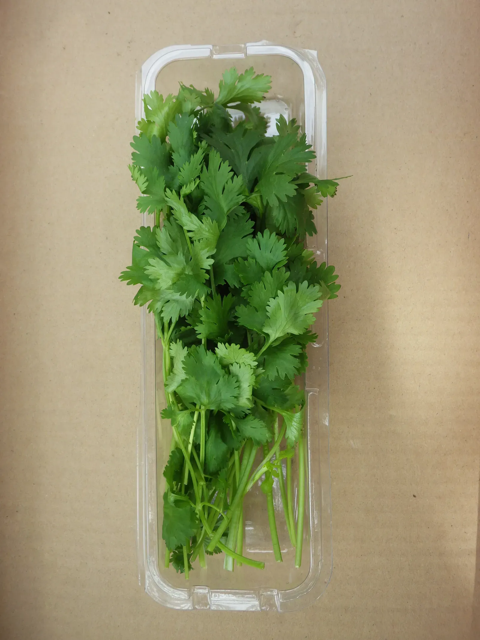 Storing Fresh Herbs Incorrectly (Image Credits: Wikimedia)