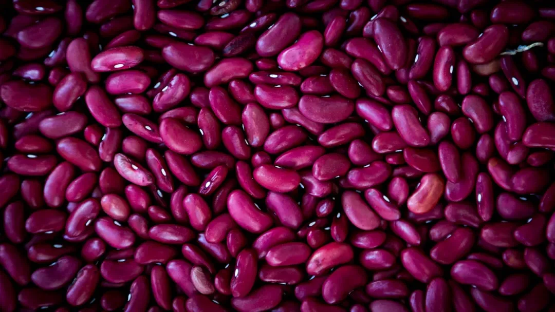 Kidney Beans: Slow-Digesting Satiety in Every Bite (Image Credits: Unsplash)