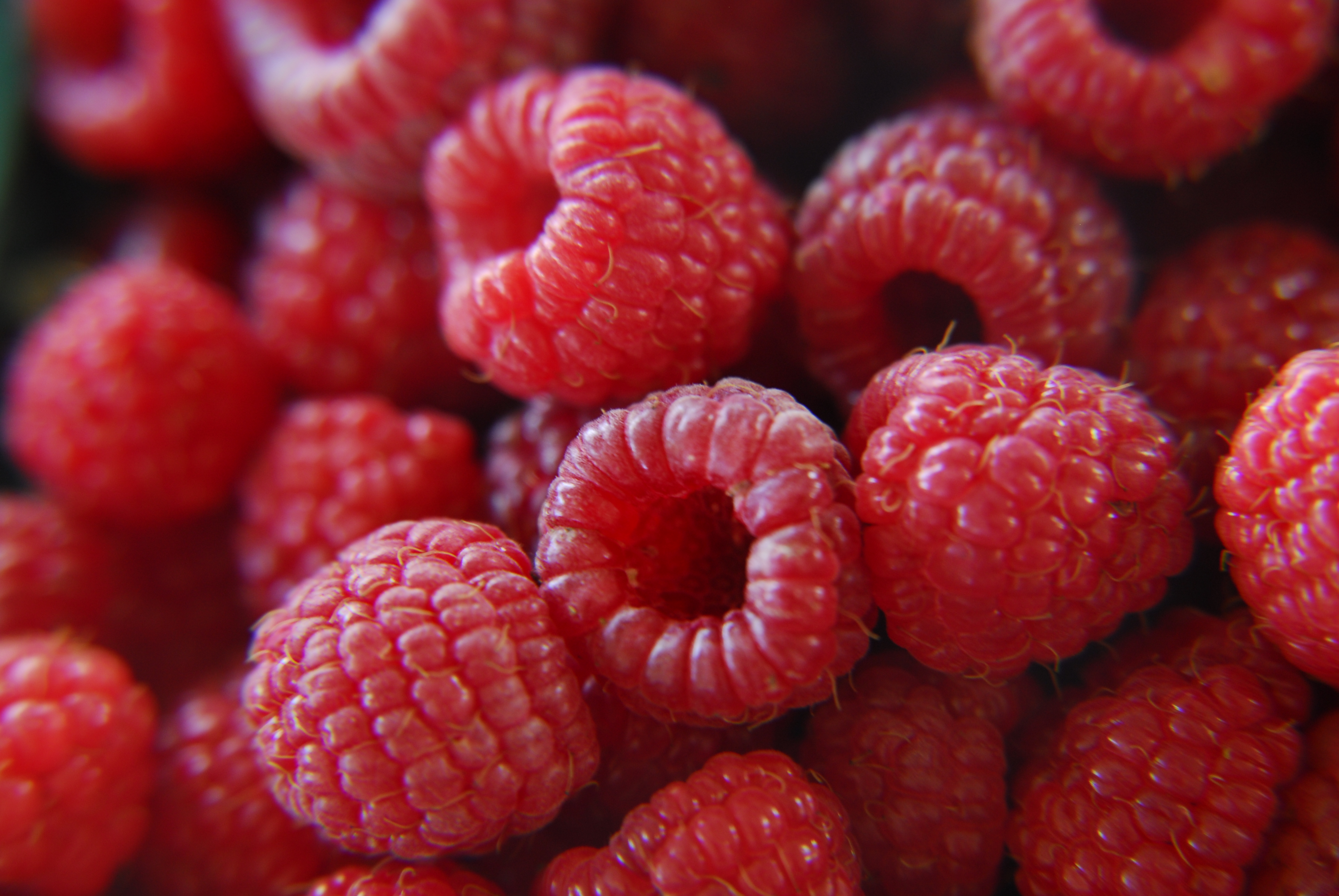 Raspberries: Tart Berries, Powerful Results (image credits: wikimedia)