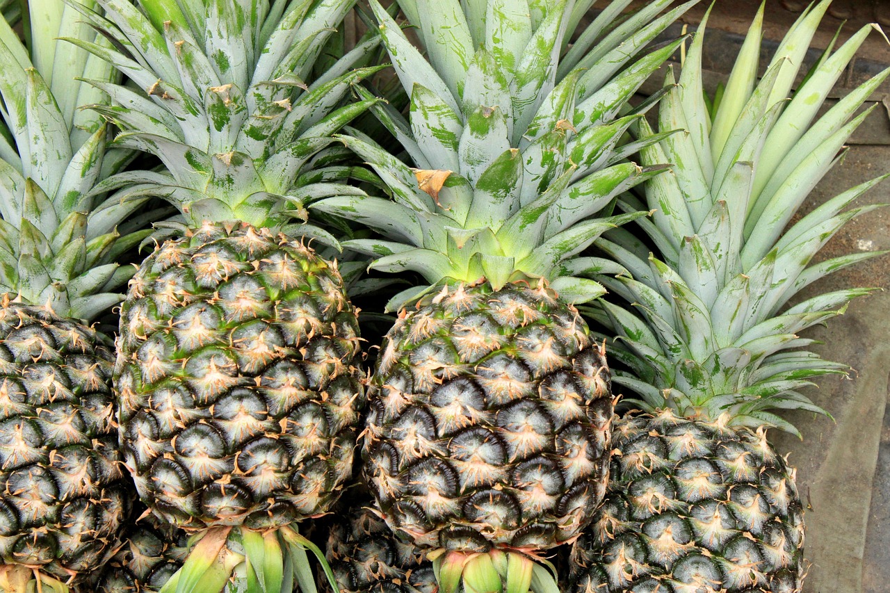 Pineapple: The Tropical Treat (image credits: pixabay)