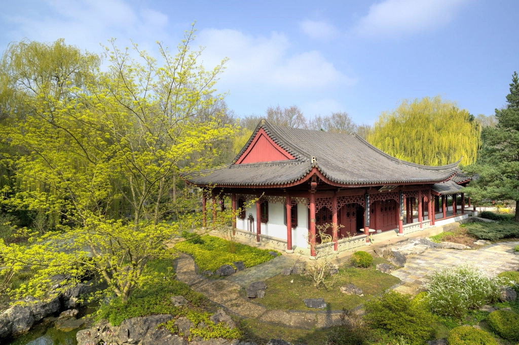 Cultural Heritage and Culinary Revival (image credits: rawpixel)