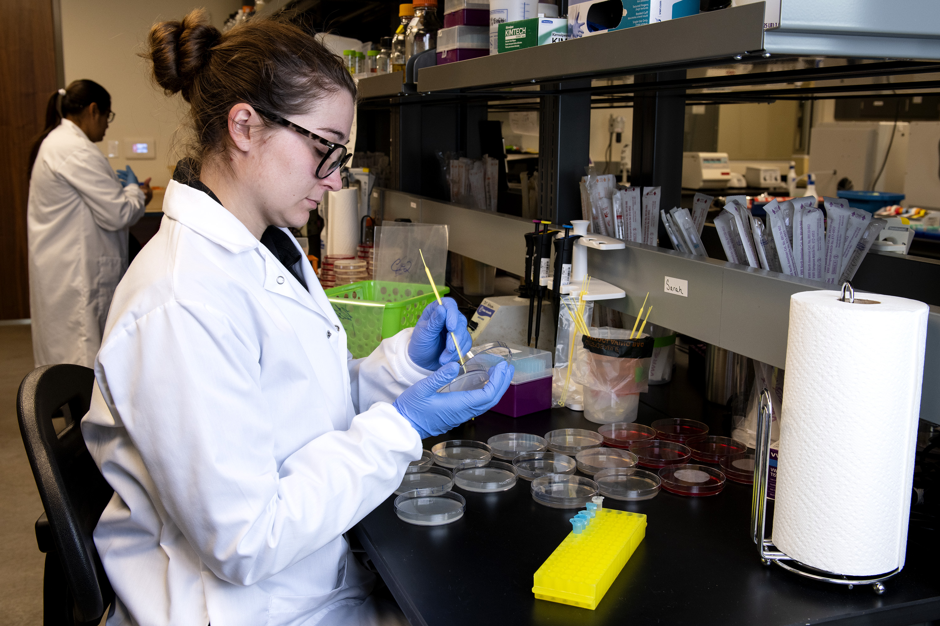 Insufficient Microbial Testing (image credits: wikimedia)