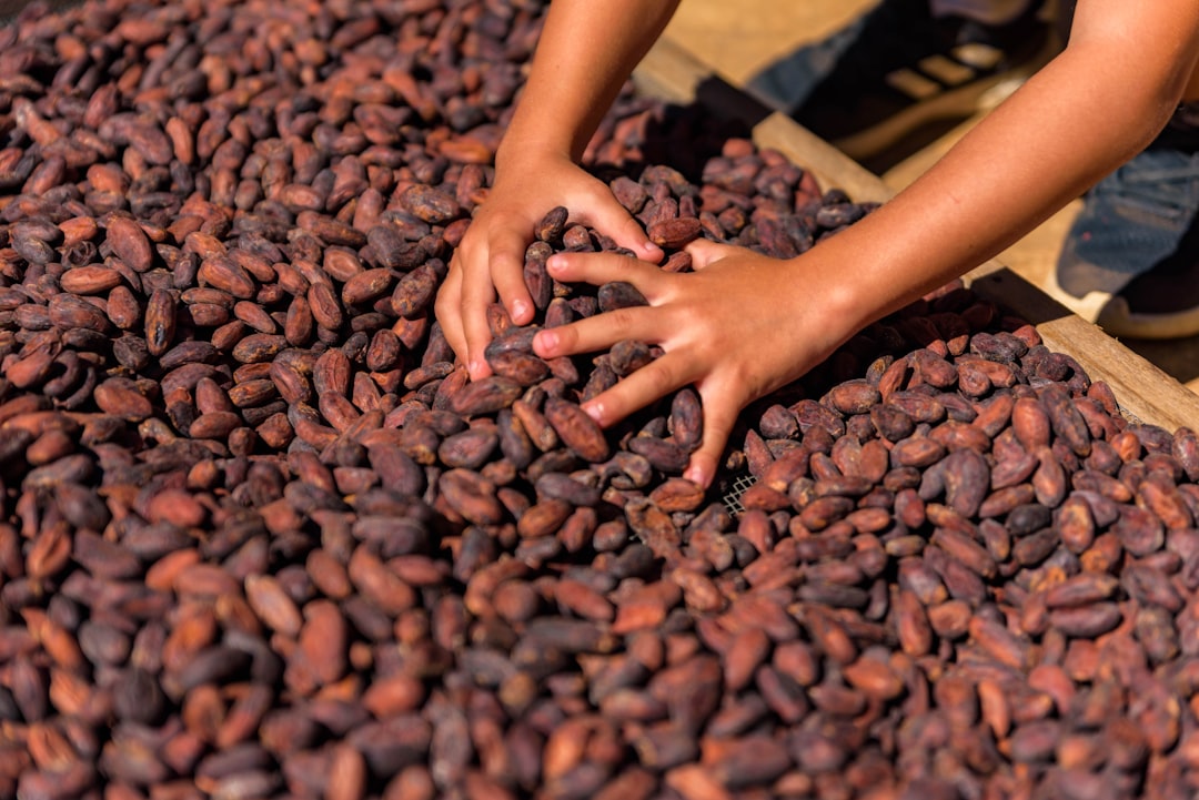The Faces Behind the Beans: Child Laborers’ Daily Realities (image credits: unsplash)