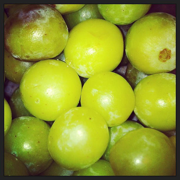 The Science Behind Why Frozen Grapes Taste Like Candy (image credits: flickr)