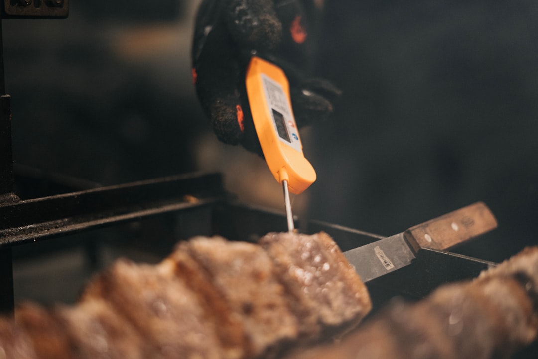 Not Using a Meat Thermometer at All (image credits: unsplash)
