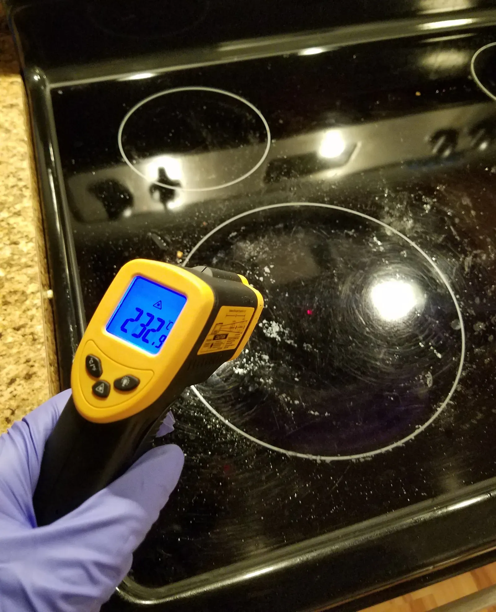 Temperature Control: The Skill Professional Chefs Rank Highest (Image Credits: Wikimedia)