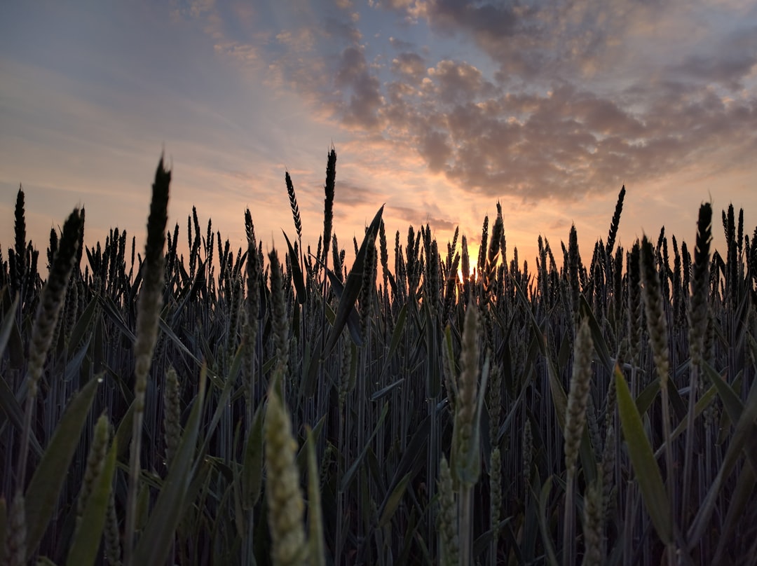 Themed Nights: A New Adventure Every Week (image credits: unsplash)