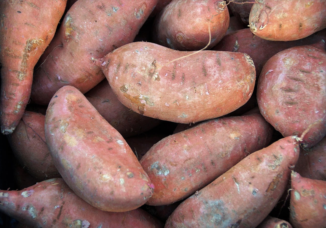 Sweet Potatoes: A Healthier Alternative (image credits: pixabay)