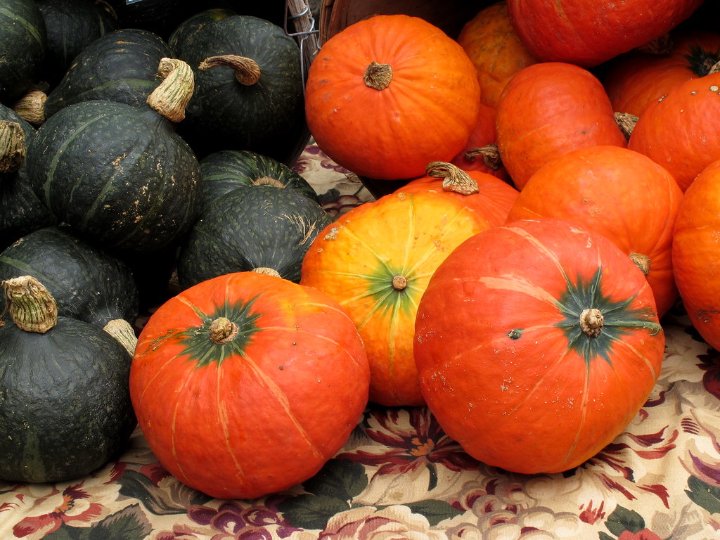 Winter Squashes Rot Faster in Humid Conditions (image credits: flickr)