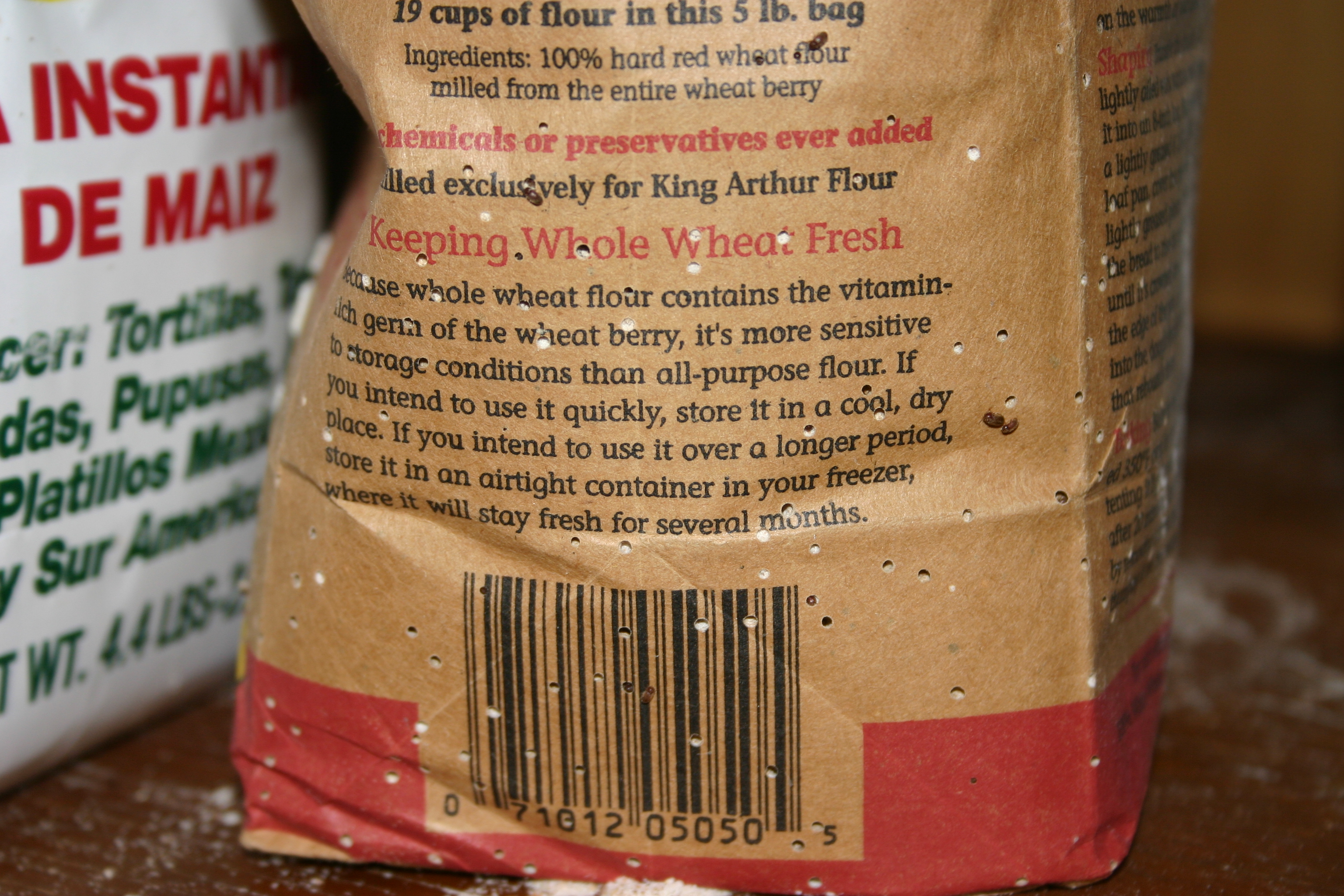 Flour Beetles Spread Beyond Single Pasta Boxes (image credits: wikimedia)