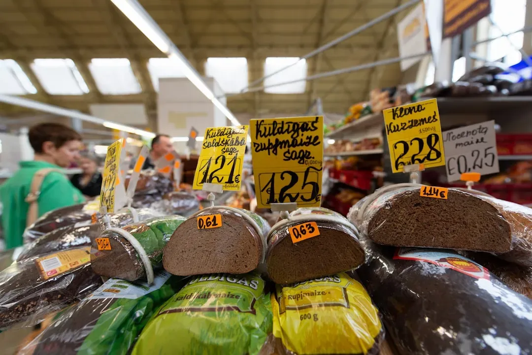 Introduction (Image Credits: Unsplash)