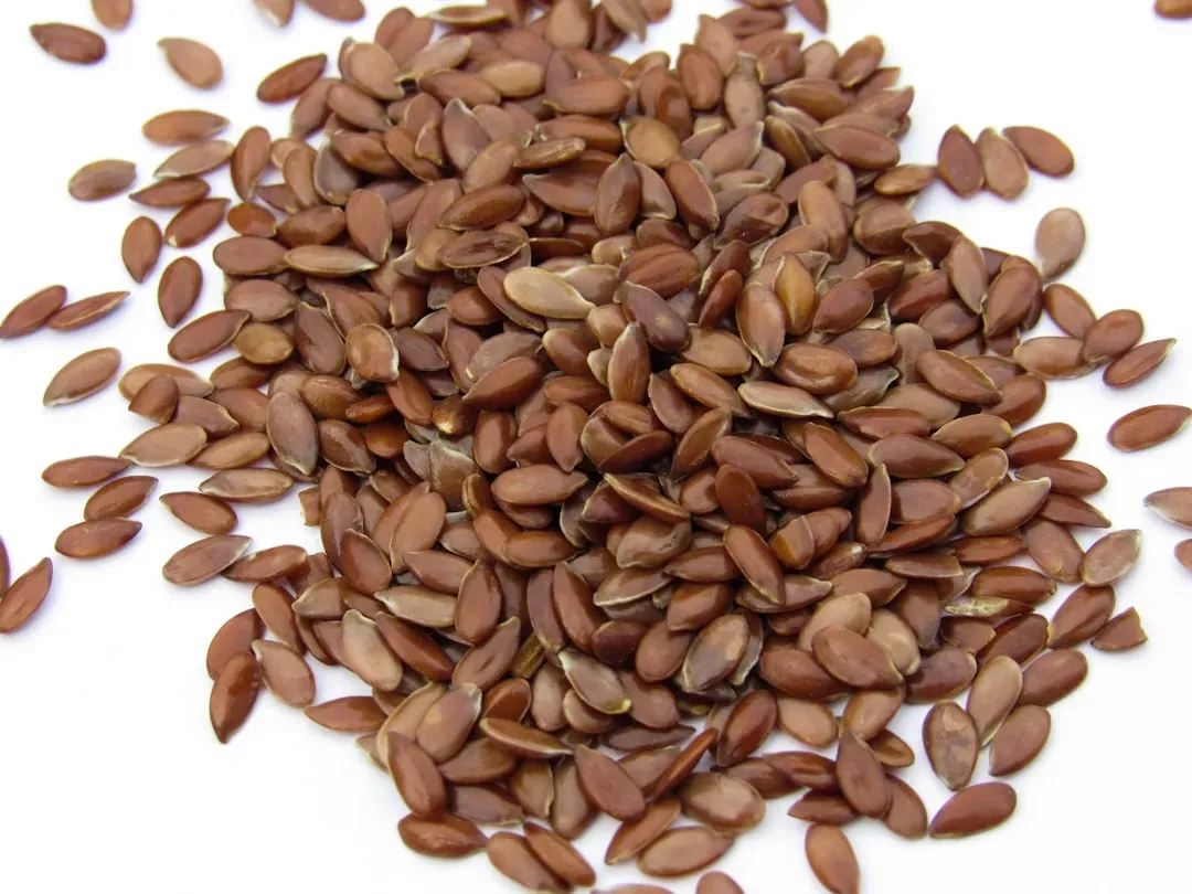 Flax Seeds: The Omega-3 Fiber Duo (Image Credits: Unsplash)