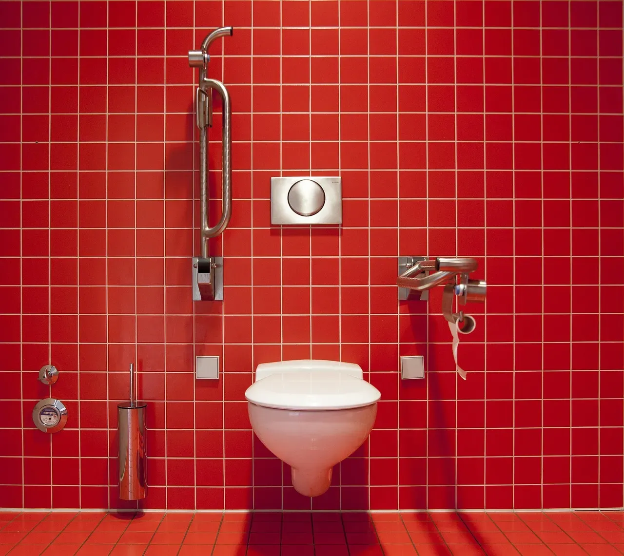 Not Flushing the Toilet (Image Credits: Pixabay)