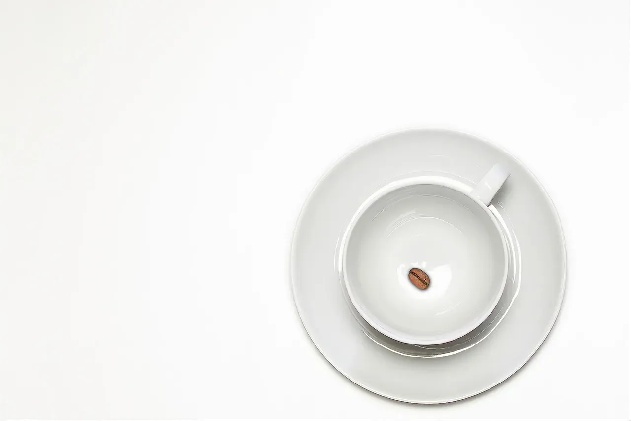 Square and Angular Plates: When Edges Change Taste (Image Credits: Pixabay)
