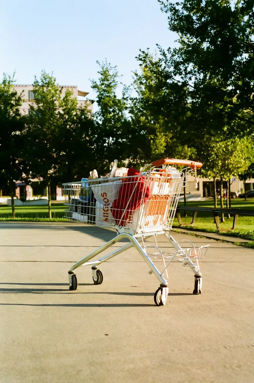4. Not Returning Your Cart to the Corral (Image Credits: Unsplash)