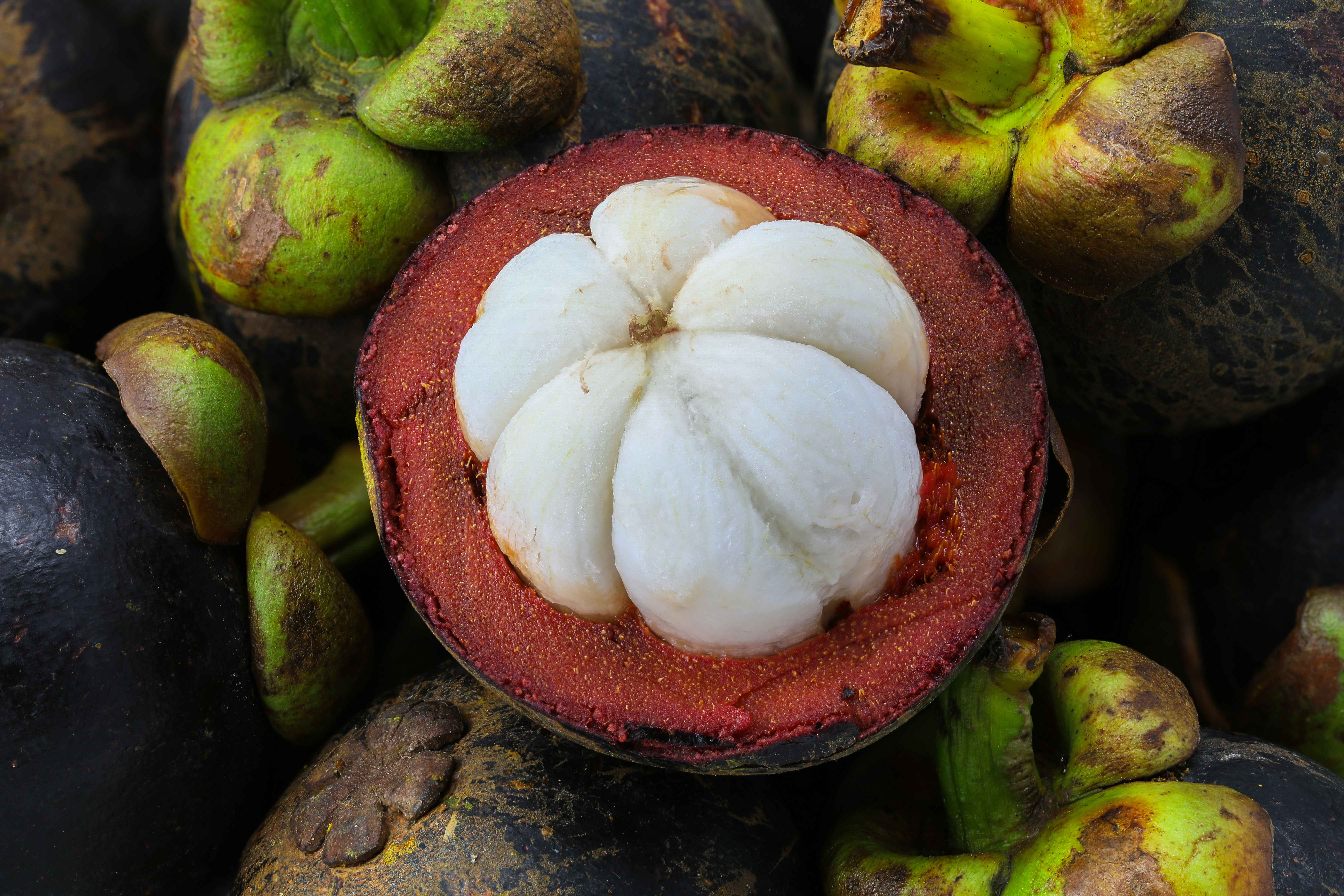 1. The Mysterious Mangosteen (image credits: wikimedia)