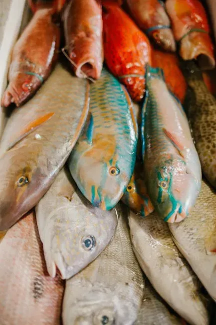 Seafood: Rising Oceans, Rising Prices (Image Credits: Pexels)