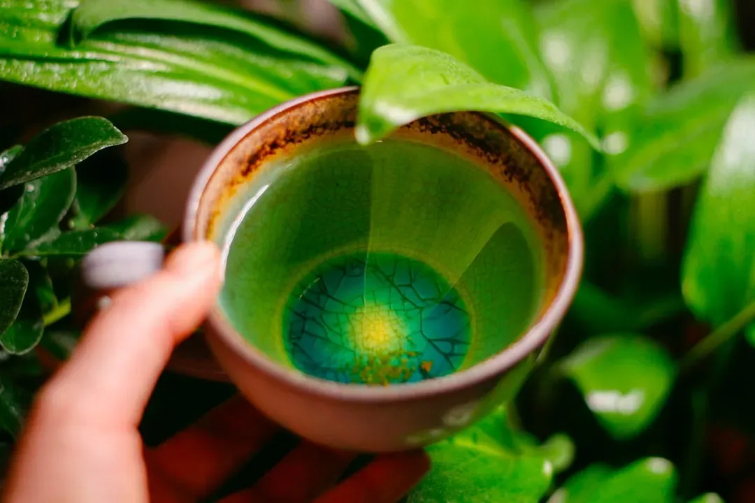 1. Green Tea (Image Credits: Unsplash)