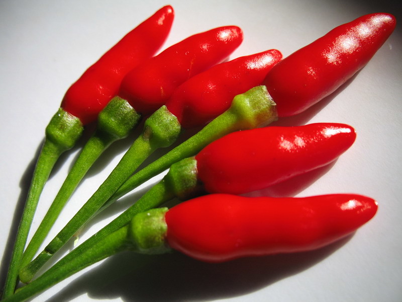 Chili Peppers (image credits: flickr)
