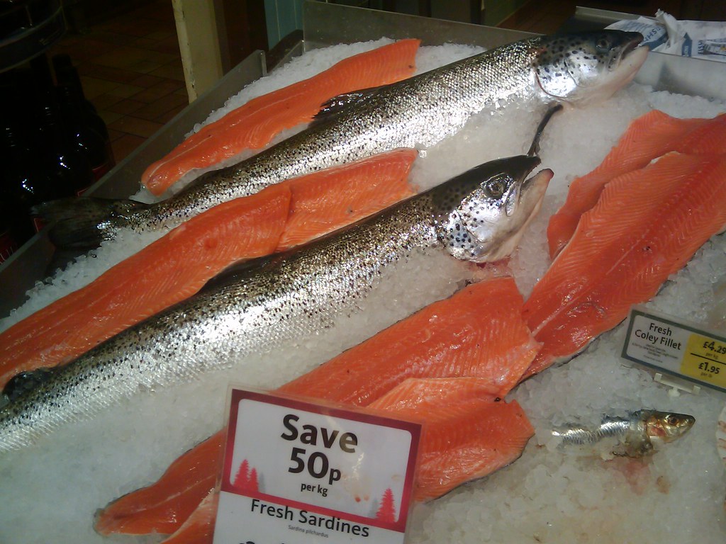 Fatty Fish: Omega-3 Superstars (image credits: flickr)