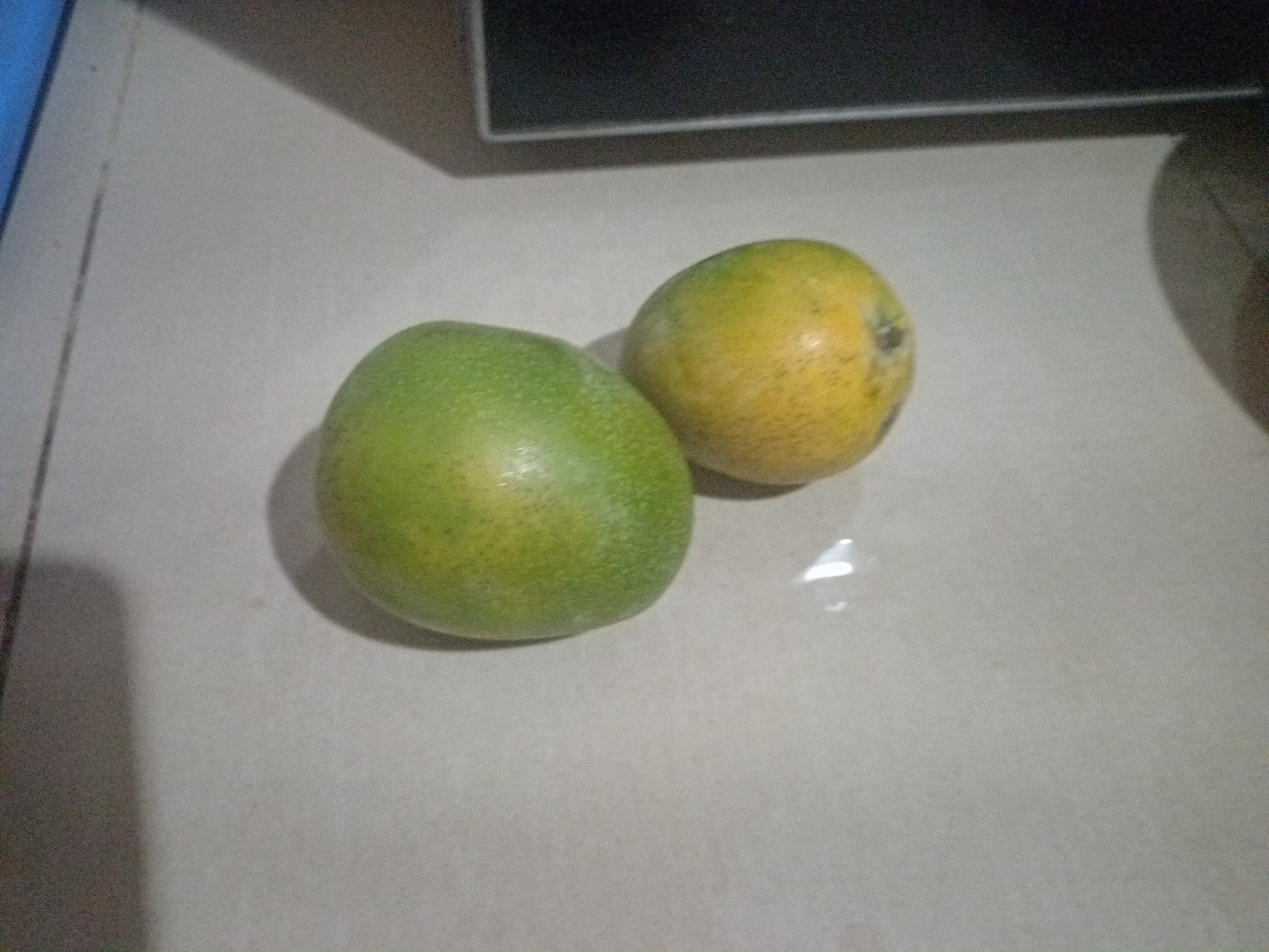 Mango: The Tropical Temptation (image credits: wikimedia)