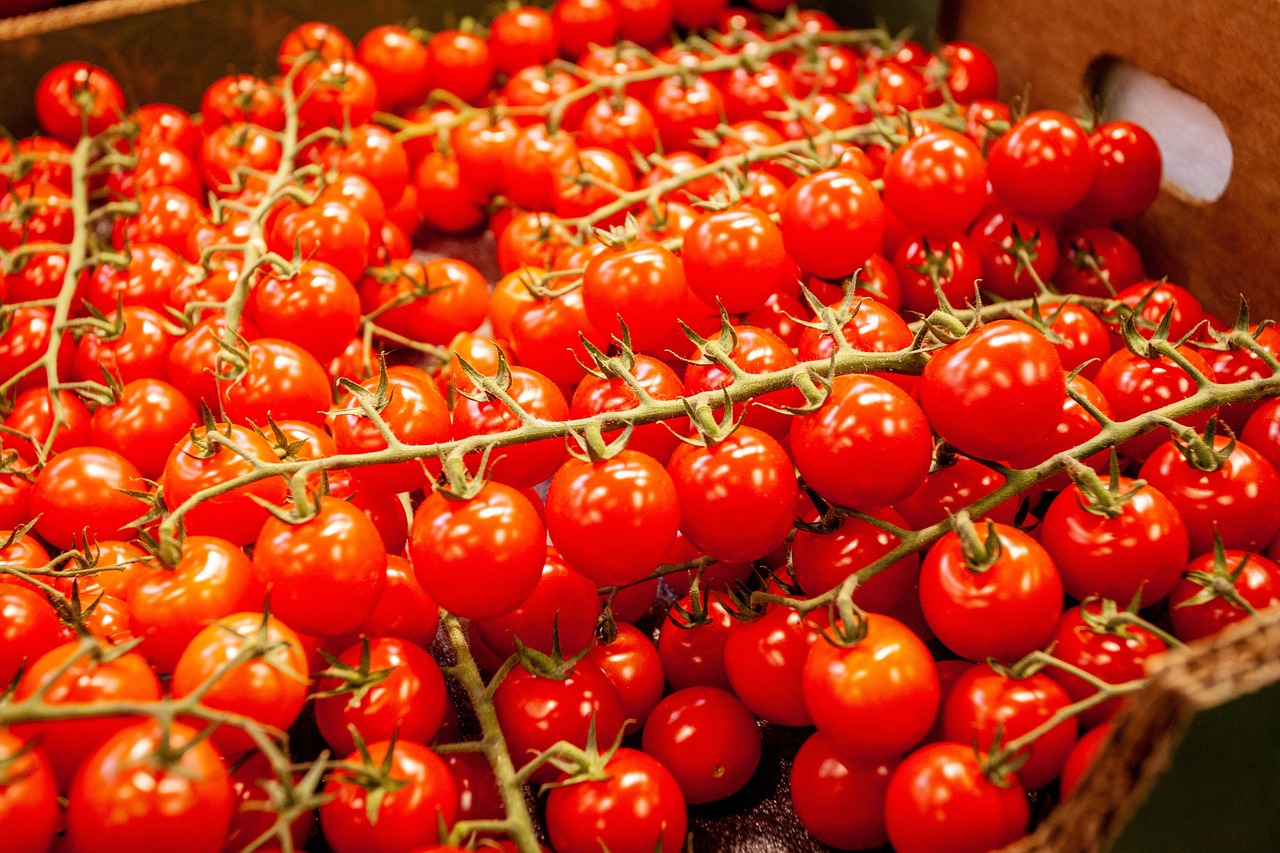 Tomatoes: The Juicy Powerhouse (image credits: pixabay)