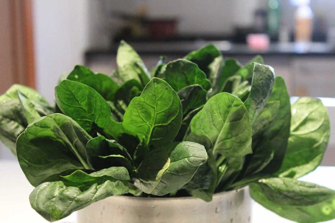 Spinach: The Iron-Rich Green Machine (image credits: unsplash)