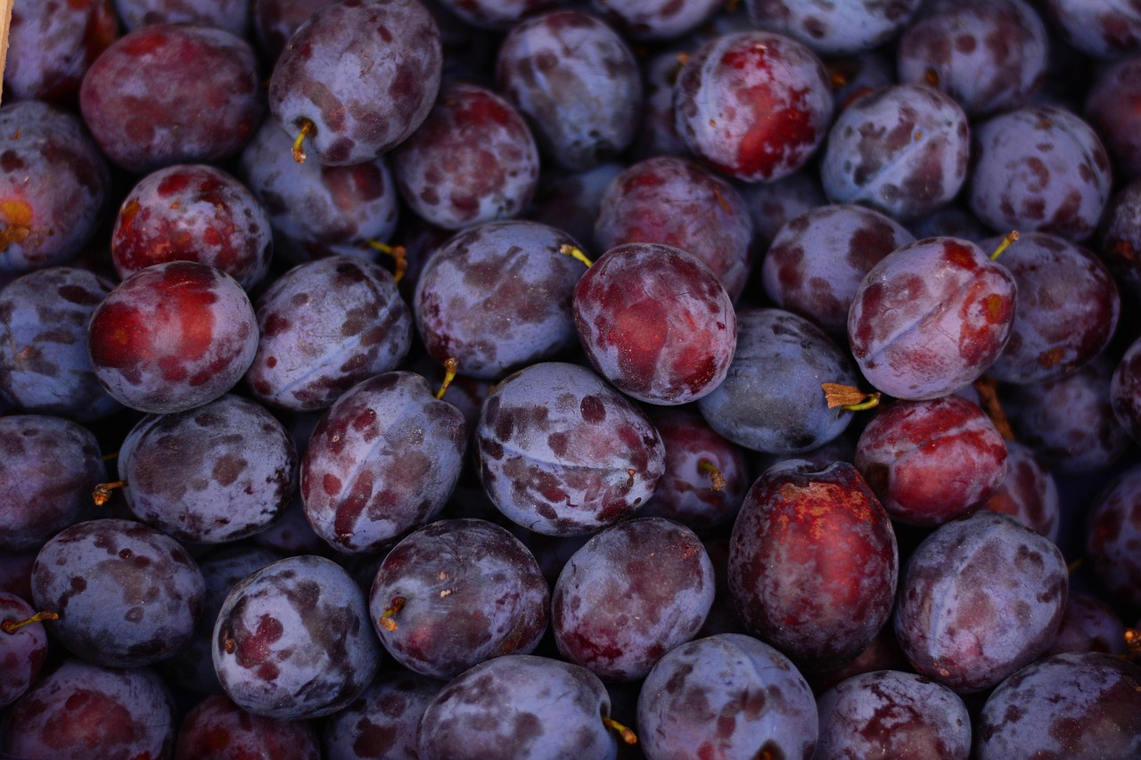 Non-Organic Produce (image credits: pixabay)