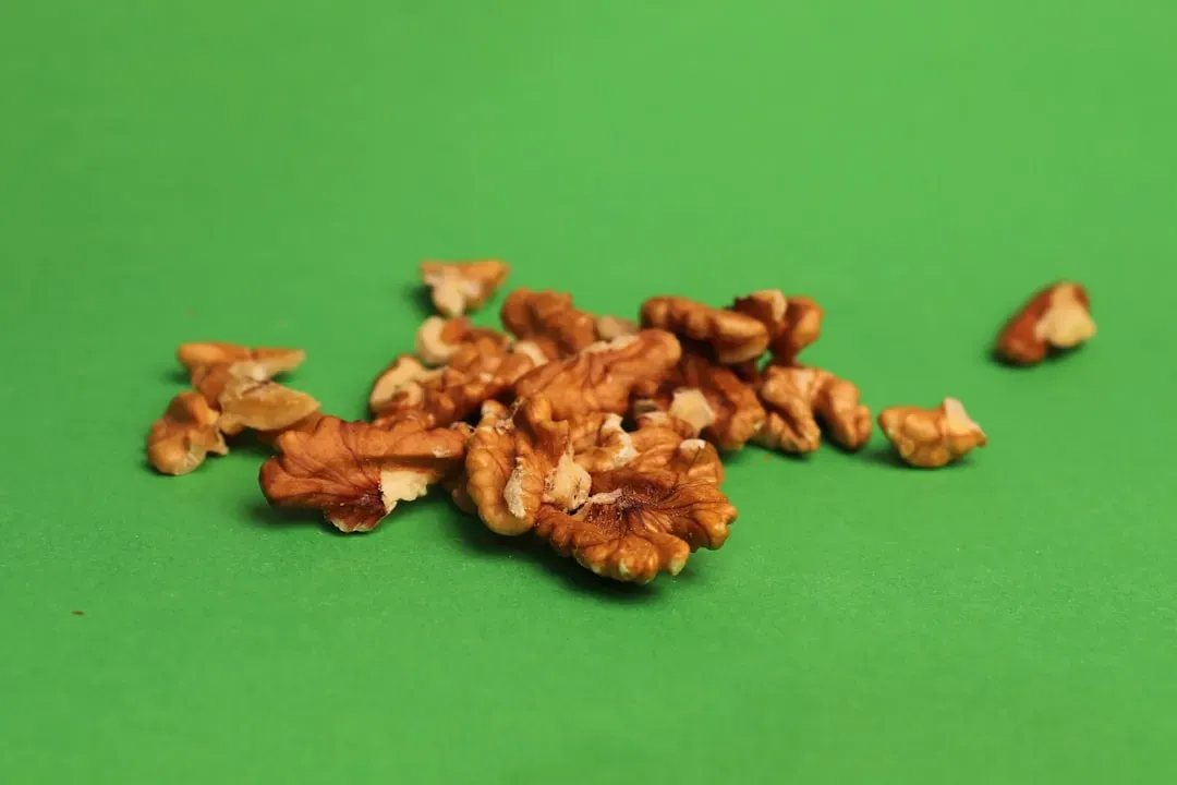 Nut and Seed Remnants (Image Credits: Unsplash)