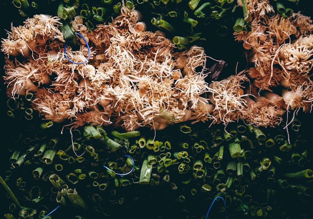 Food as a Medium for Storytelling (image credits: unsplash)