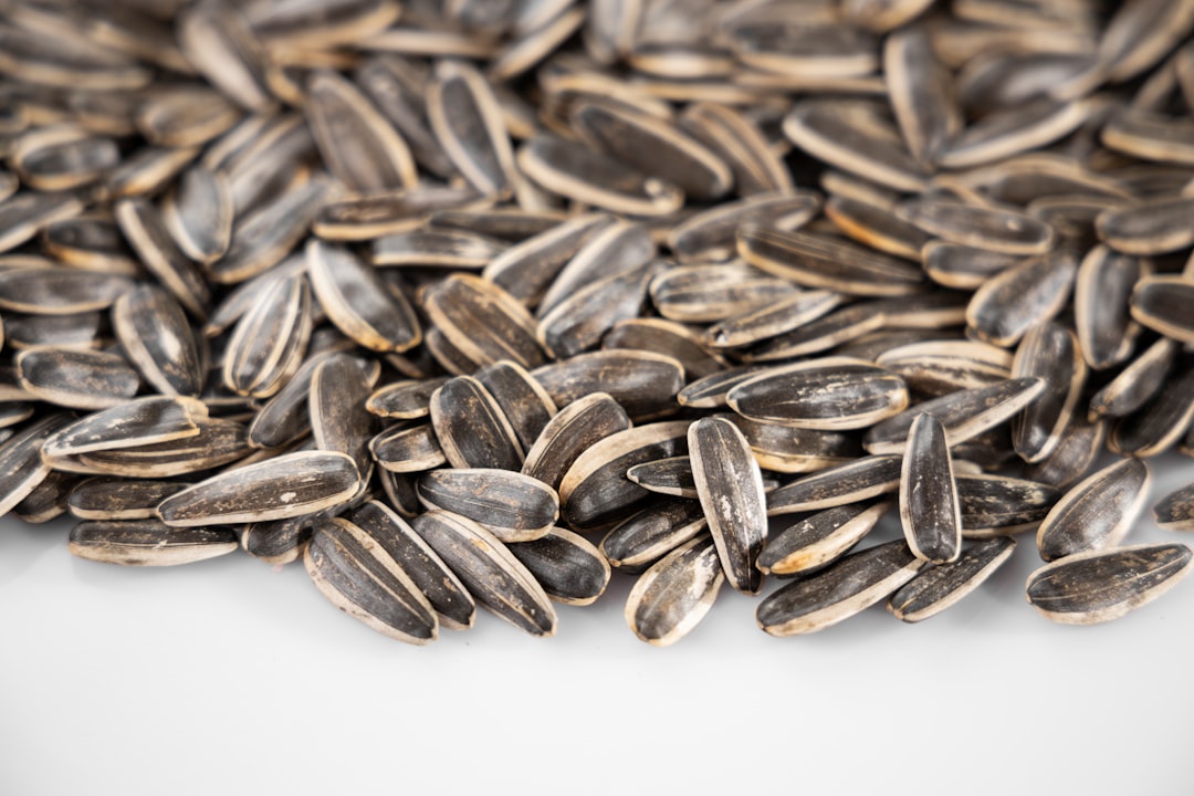 Sunflower Seed Flour: Allergy-Friendly and Versatile (image credits: unsplash)