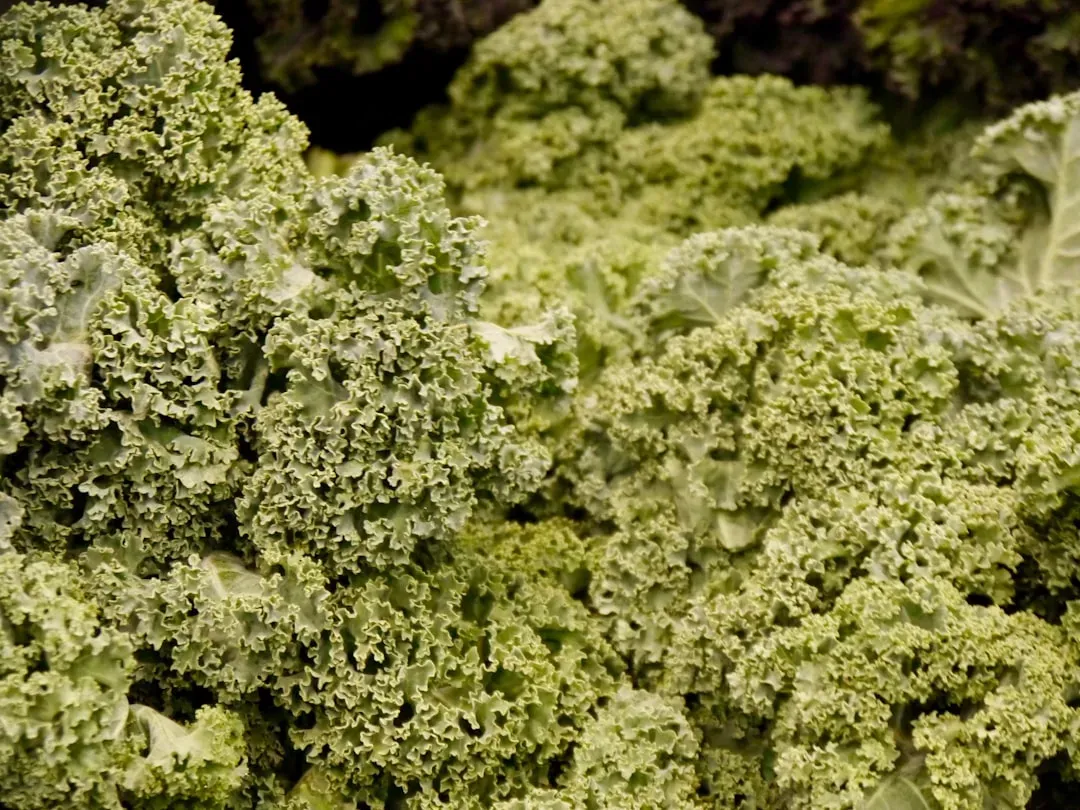 6. Frozen Kale (Image Credits: Unsplash)
