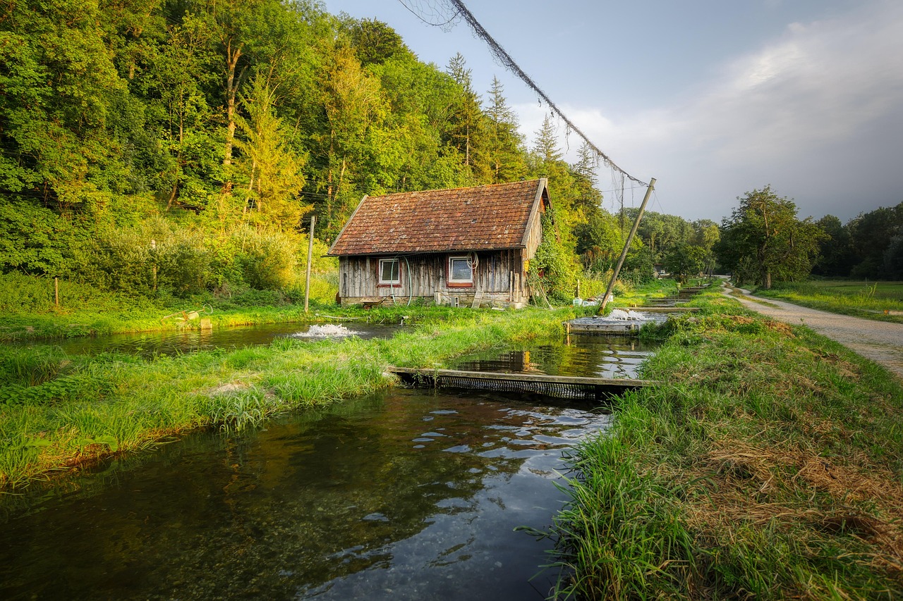 Farmed Fish From Abroad Can Be Polluted (image credits: pixabay)