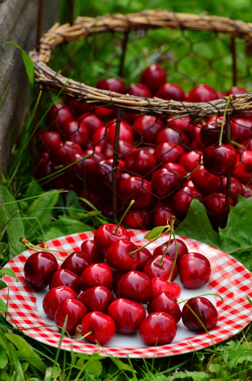 Cherries (Sweet Varieties) (image credits: pixabay)