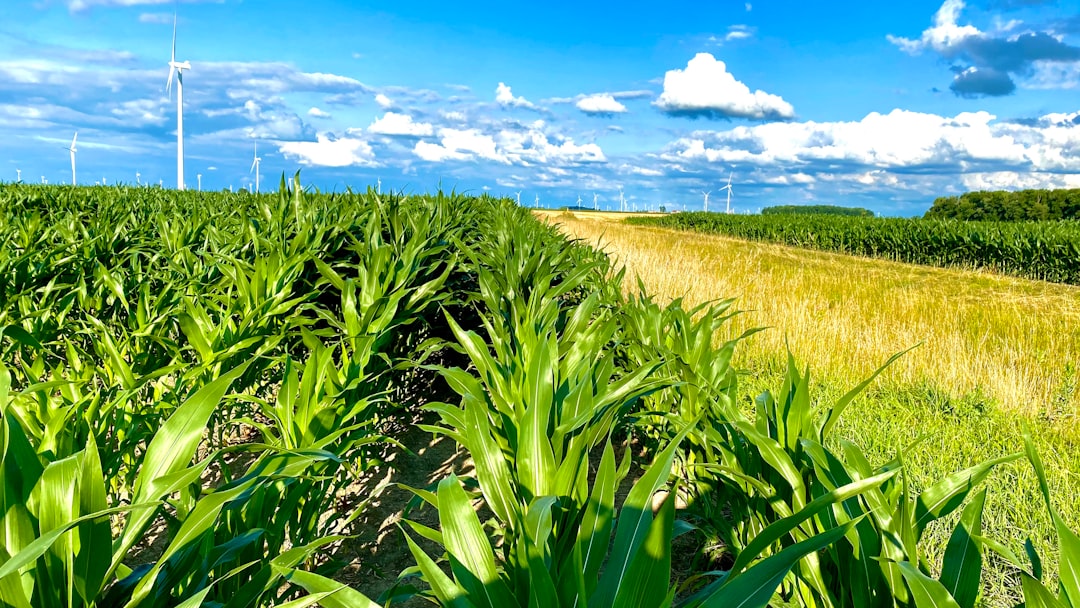Climate Change Disrupts Traditional Trade Patterns (Image Credits: Unsplash)