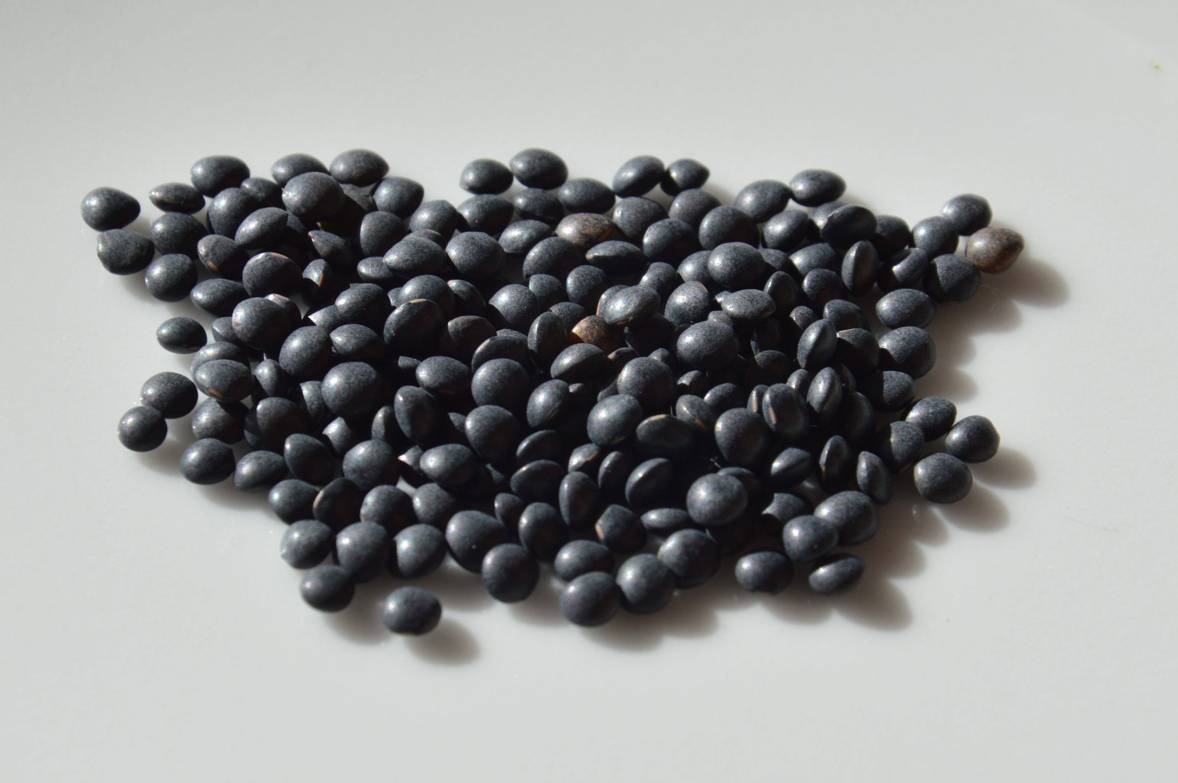 Black Lentils (Beluga) (image credits: wikimedia)